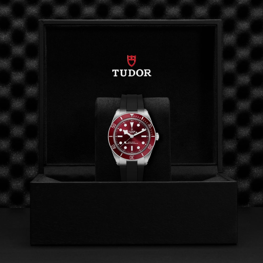 Bay 58 Tudor New Watches 2019 TUDOR Black Bay 58 M7939a1a0ru-0003