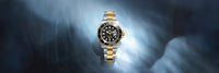 files/rolex-collection_banner-sea-dweller-cover-m126603-0001-landscape.jpg