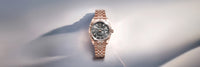 files/rolex-collection_banner-sky-dweller-cover-m336935-0008-landscape.jpg